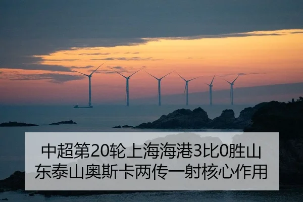 zhong-chao-di-lun-shang-hai-hai-gang-bi-sheng-shan-dong-tai-shan-ao-si-ka-liang-chuan-yi-she-he-xin-zuo-yong-3-523.jpg