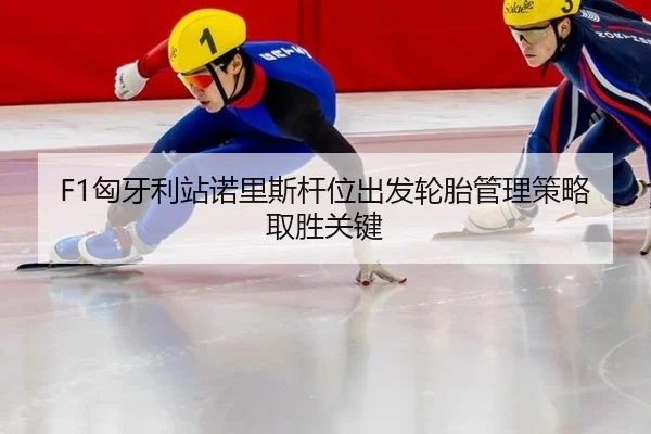 xiong-ya-li-zhan-nuo-li-si-gan-wei-chu-fa-lun-tai-guan-li-ce-lve-qu-sheng-guan-jian-2-828.jpg