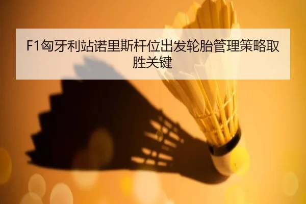 F1匈牙利站诺里斯杆位出发轮胎管理策略取胜关键
