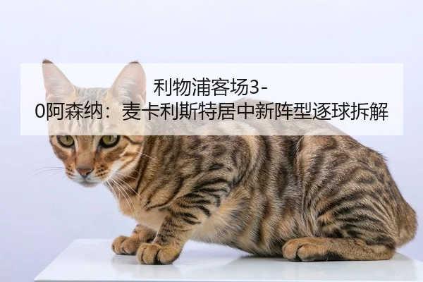 li-wu-pu-ke-chang-a-sen-na-mai-ka-li-si-te-ju-zhong-xin-zhen-xing-zhu-qiu-chai-jie-1-917.jpg